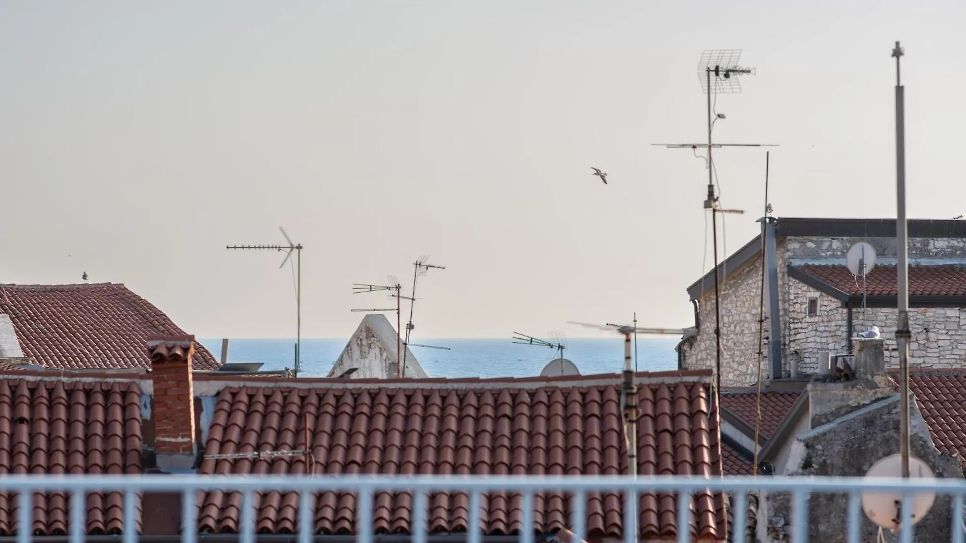Umag Seafront Seaview Center Apartments Old Town 1,2,3,4 By Rentistra Croatia